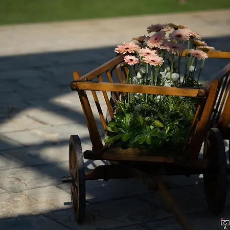 B&B La Dimora Dei Conti Collemeto