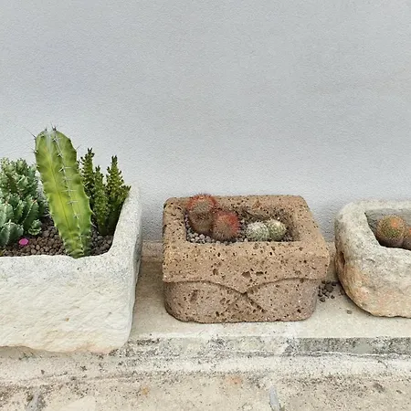 La Dimora Dei Conti *